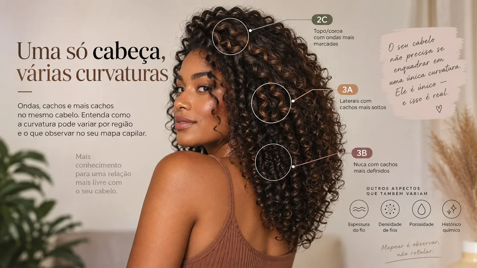 Mulher com cabelo natural volumoso exibindo diferentes padrões de ondas e cachos, com áreas marcadas como 2C, 3A e 3B e referências visuais a espessura, densidade, porosidade e histórico químico.
